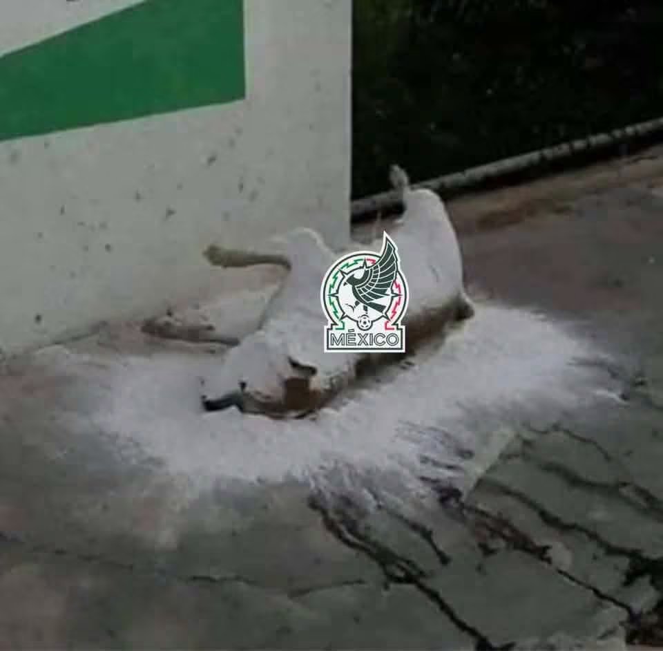 (Redes sociales)