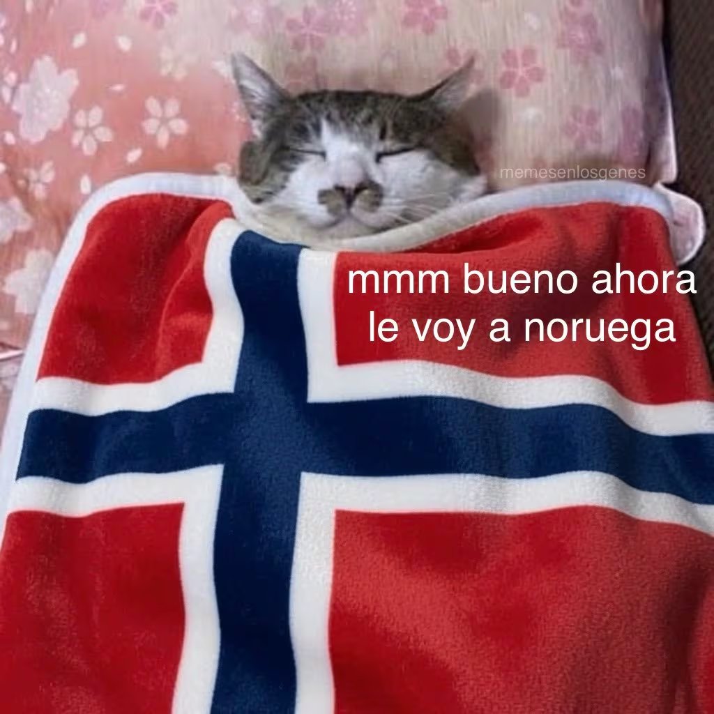 (Redes sociales)