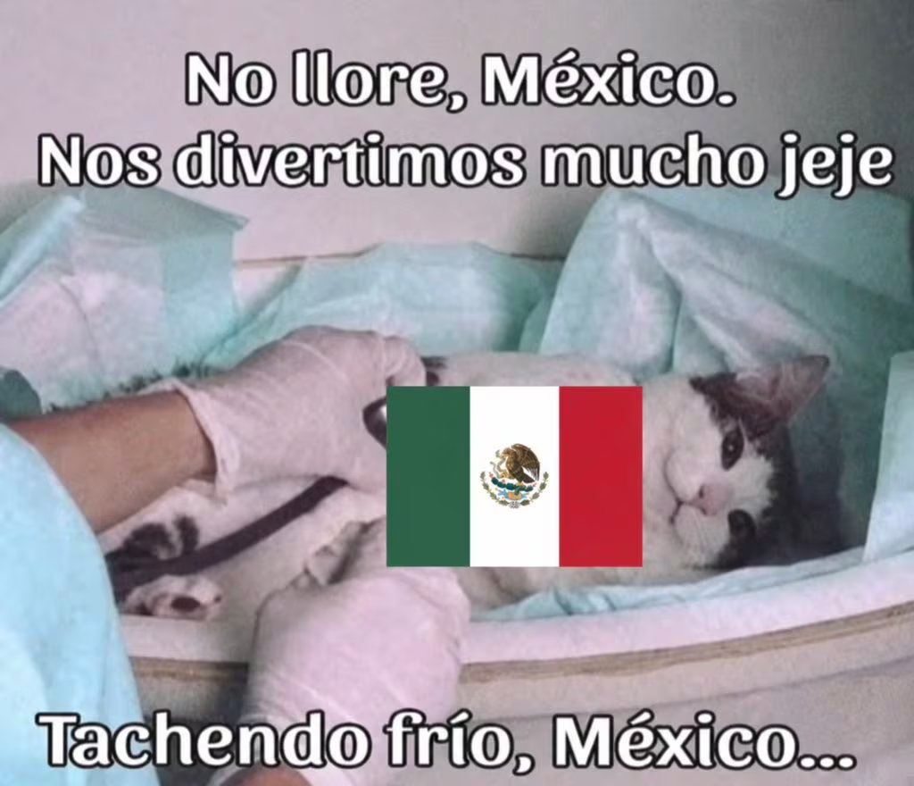 (Redes sociales)