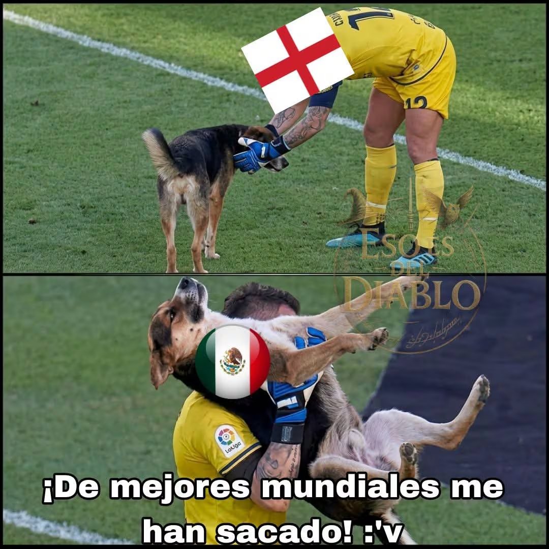 (Redes sociales)
