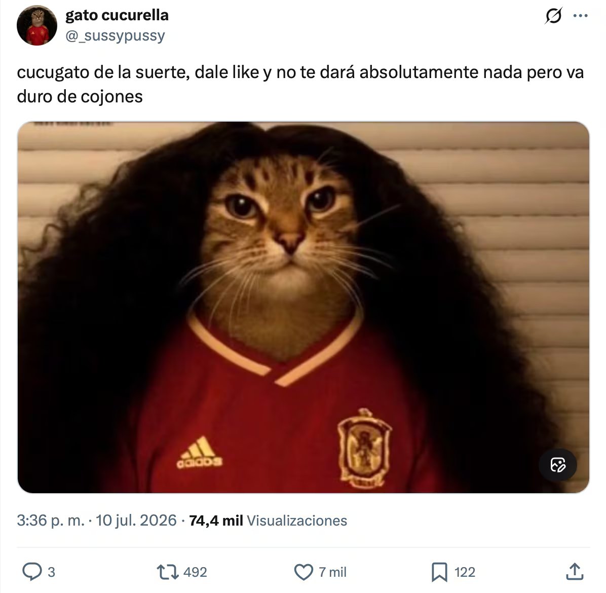 Los mejores memes del España vs Bélgica. (Redes sociales / Captura de pantalla)