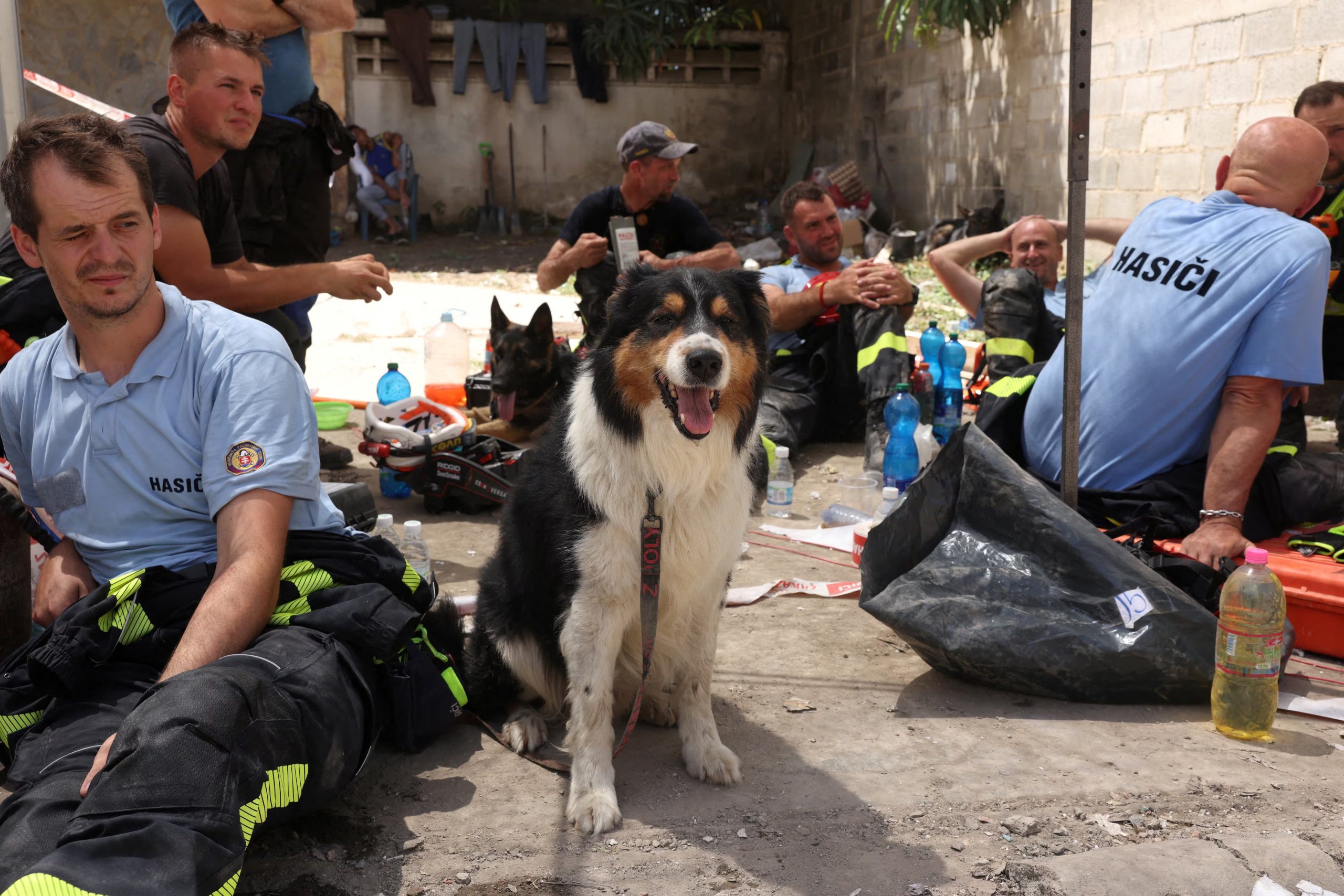 Miembros del equipo de rescate eslovaco, acompañados de perros de búsqueda y rescate, en La Guaira (Venezuela). (Leonardo Fernández Viloria/REUTERS)