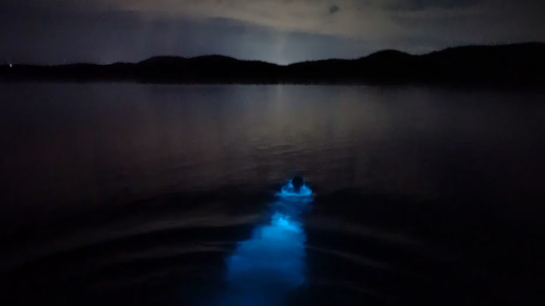 Cada movimiento en sus aguas despierta un resplandor azul intenso, resultado de una compleja interacción ecológica entre microorganismos y nutrientes 