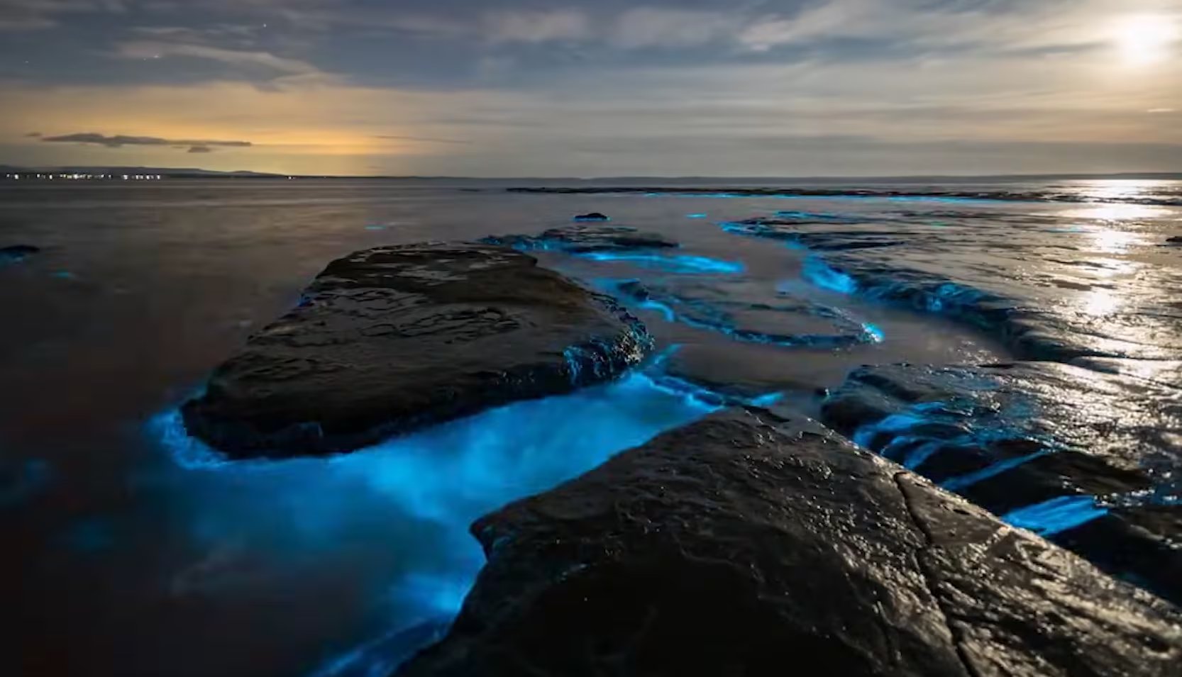 En Falmouth, Jamaica, la mezcla de aguas fluviales y marinas crea condiciones excepcionales para la proliferación de organismos bioluminiscentes 