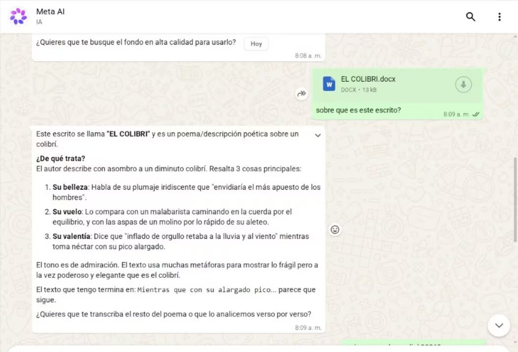 Meta AI en WhatsApp Web proporciona información sobre archivos compartidos. (Meta)