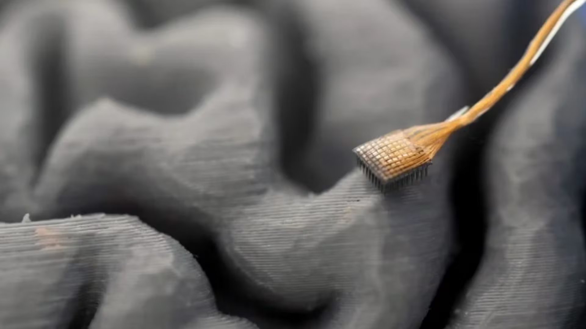 Neuralink tiene una nueva competencia con el lanzamiento de nuevos chips cerebrales. (UC Davis)