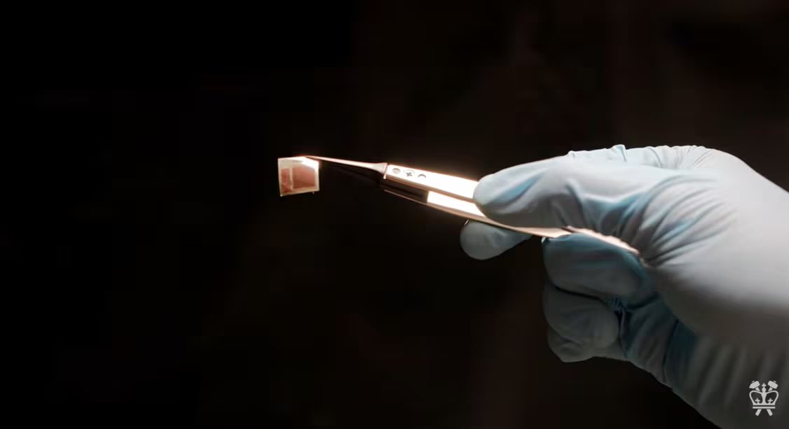 La carrera de los chips cerebrales sigue en curso. (Foto: Columbia Engineering)