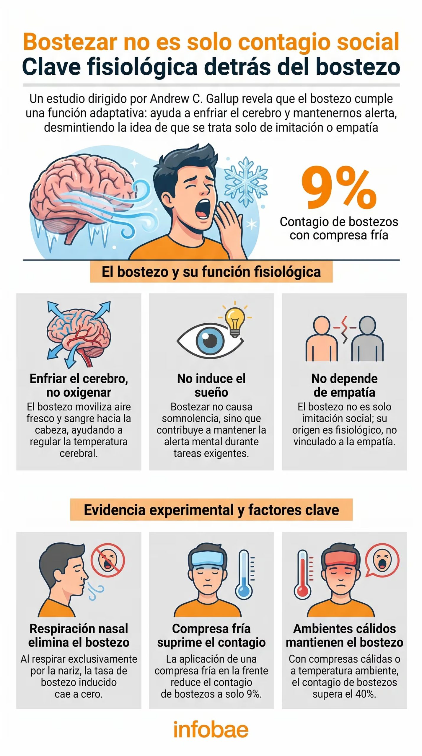 Hallazgos del estudio de Andrew C. Gallup sobre la función adaptativa del bostezo y su efecto en la regulación térmica cerebral, desmintiendo su origen social. (Imagen Ilustrativa Infobae)