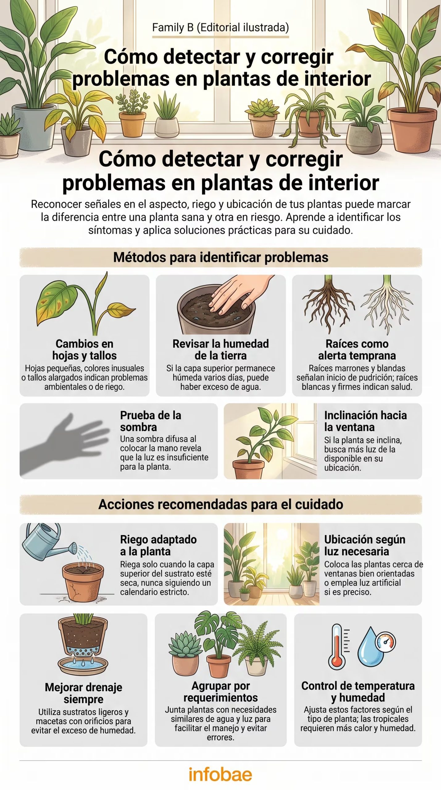 Cómo detectar y corregir problemas en plantas de interior. (Imagen Ilustrativa Infobae)