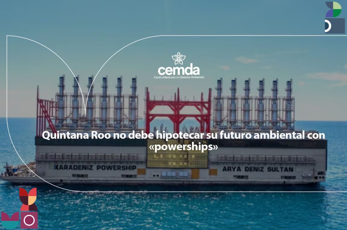 Quintana Roo no debe hipotecar su futuro ambiental con «powerships» 