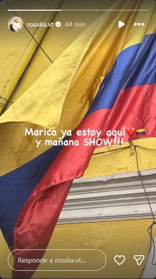 Rosalía confirmó a sus seguidores que ya se encuentra en Colombia para brindar sus dos fechas en el Movistar Arena de Bogotá - crédito @rosalia.vt/Instagram