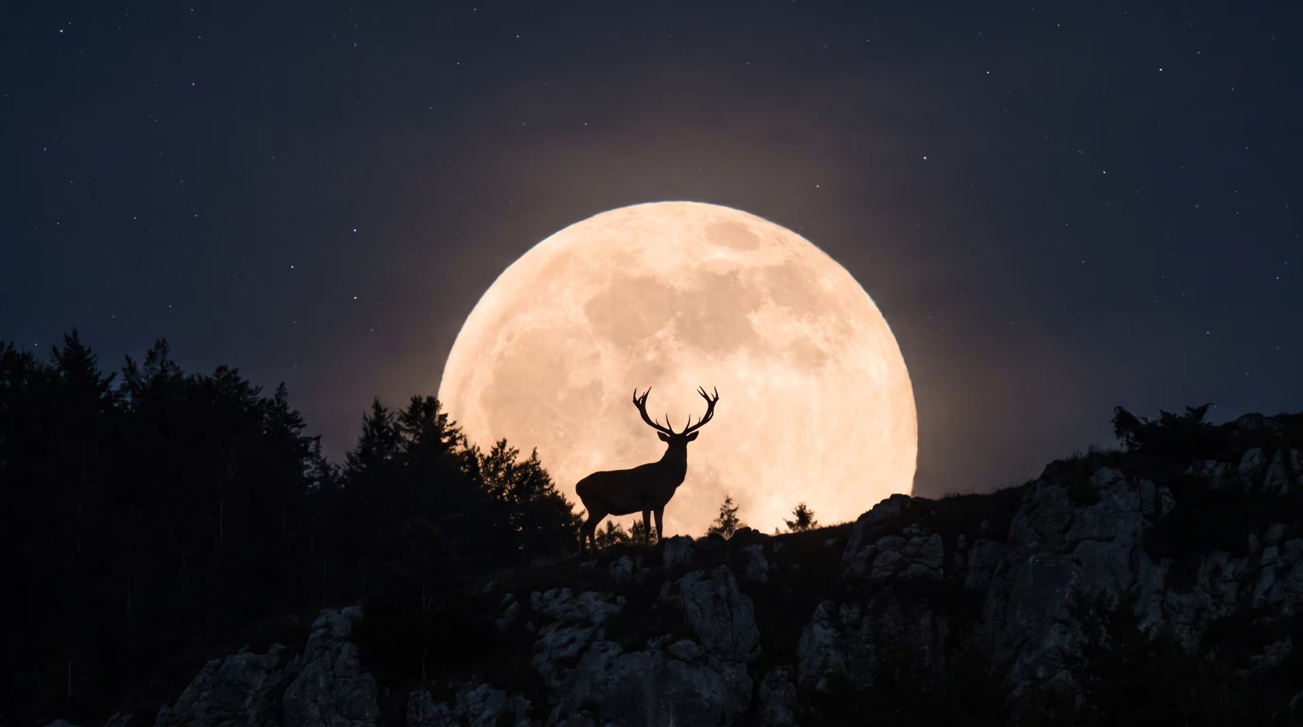 Para ver la luna llena de ciervo, lo mejor es buscar espacios abiertos y lejos de la contaminación lumínica. (Imagen Ilustrativa Infobae)