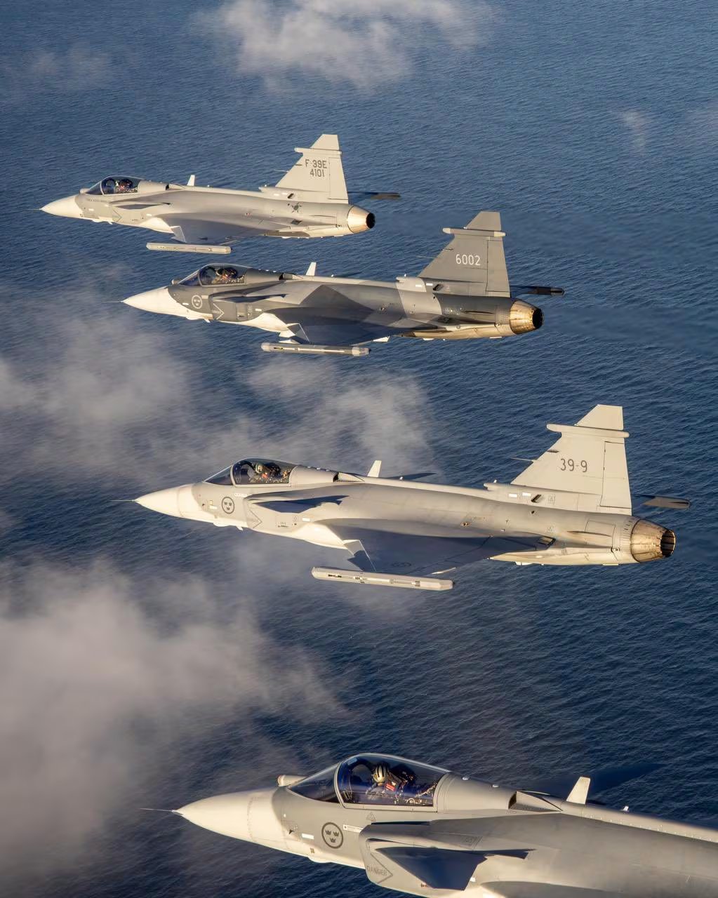 Los potentes Gripen E destacan por su radar avanzado, bajo costo operativo y capacidad para misiones tácticas en cualquier terreno (Archivo)