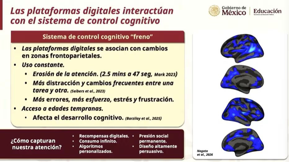 Las plataformas digitales interactúan con el sistema de control cognitivo, afectando la atención y el desarrollo. (Imagen Ilustrativa Gobierno de México)