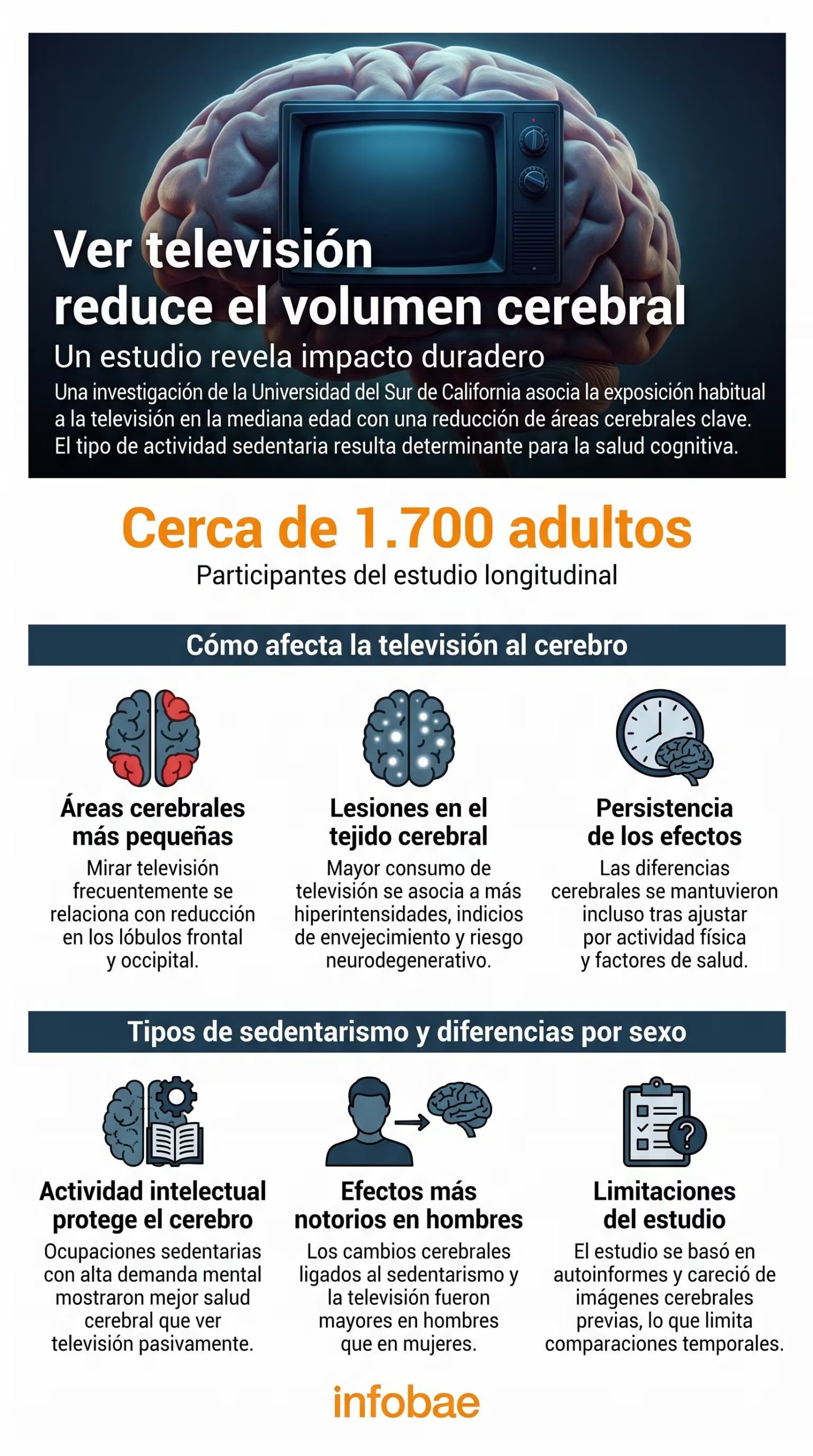 Una infografía de Infobae detalla cómo el consumo frecuente de televisión en la mediana edad afecta el cerebro, basándose en un estudio de la Universidad del Sur de California con cerca de 1.700 adultos (Imagen Ilustrativa Infobae)