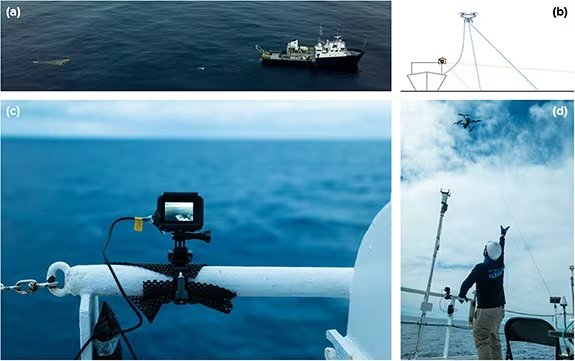 El proyecto, liderado por The Ocean Cleanup desde 2019, ha escaneado decenas de miles de kilómetros cuadrados de superficie marina (Crédito: Environmental Research Communications (2026). DOI: 10.1088/2515-7620/ae8152)