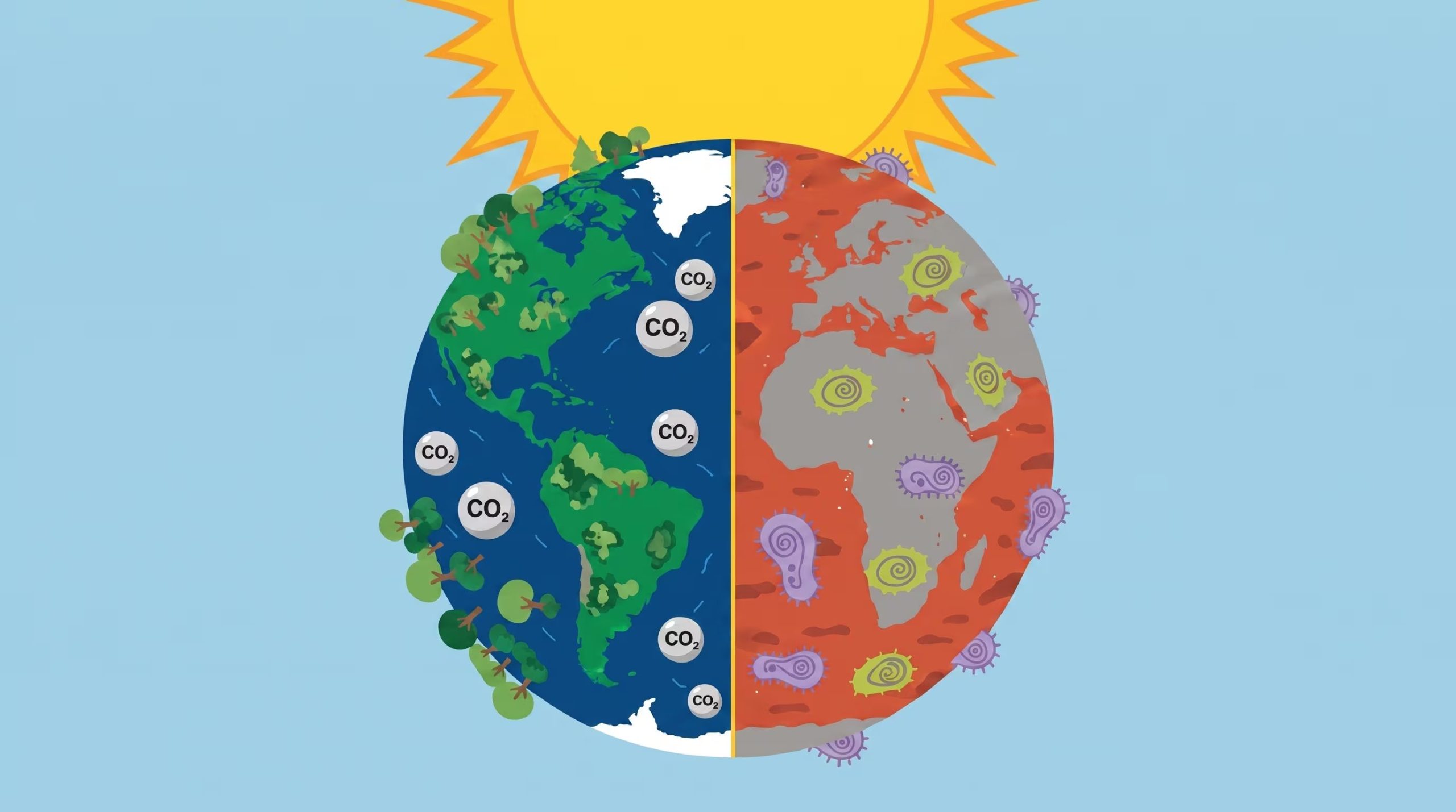 El cambio climático reduce la disponibilidad de plantas útiles y debilita el patrimonio biocultural amazónico (Imagen Ilustrativa Infobae)