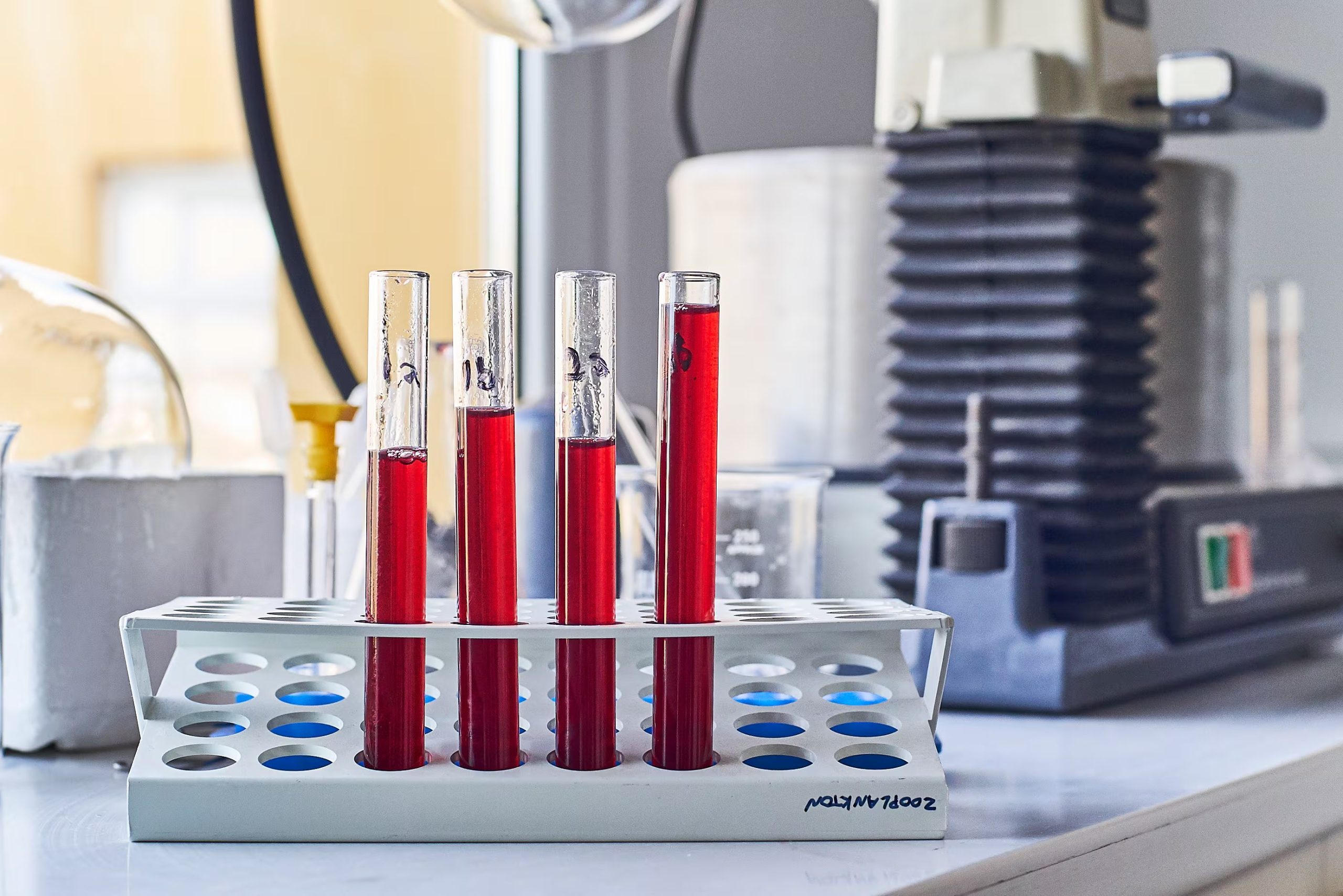 Un soporte con cuatro tubos de ensayo que contienen líquido rojo se observa en un laboratorio con equipo científico. ((Gentileza Tamara Rubilar))