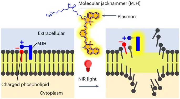 El concepto de un MJH y su mecanismo de funcionamiento (Nature Chemistry)
