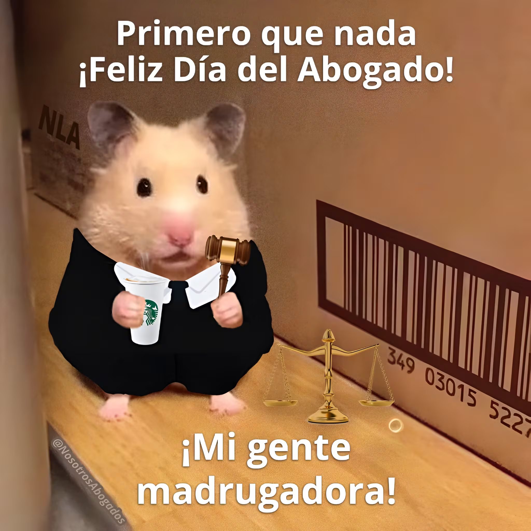 (RS)