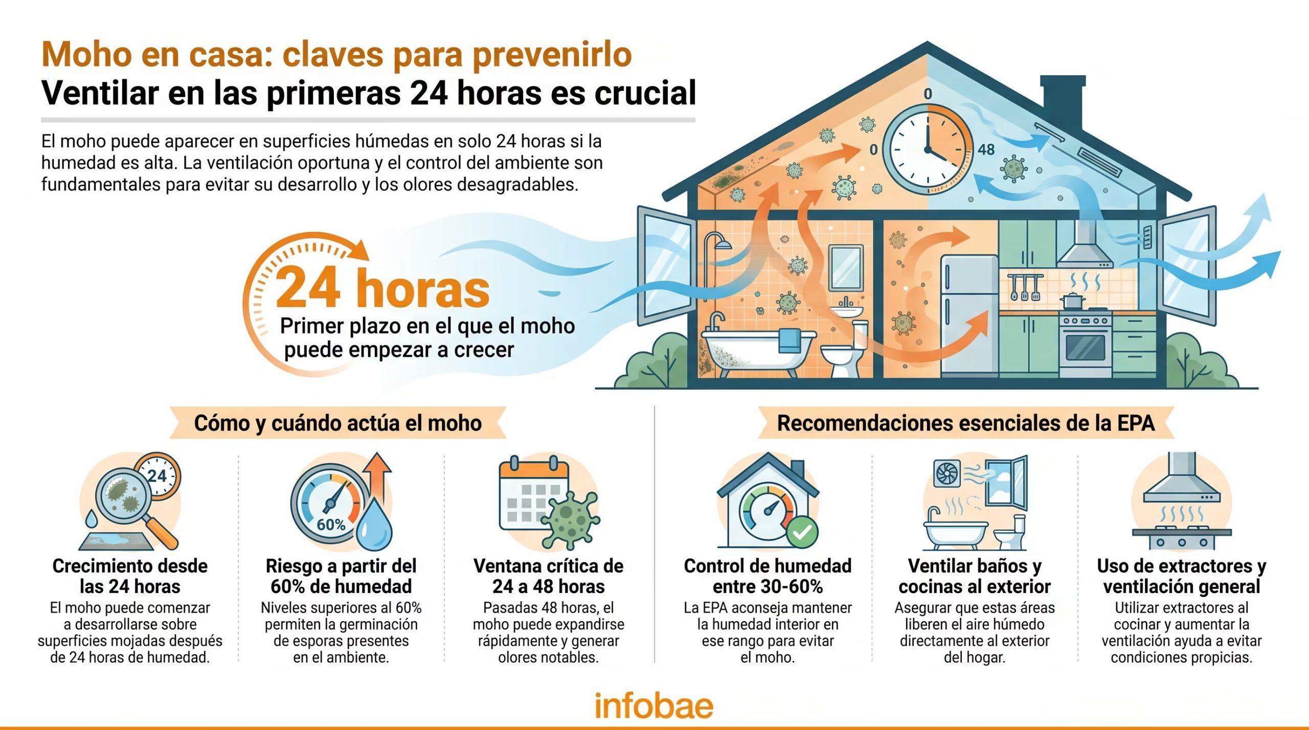 Una infografía de Infobae detalla las medidas de la EPA para prevenir el moho en el hogar y subraya la importancia de la ventilación en las primeras 24 horas, así como el control de la humedad. (Imagen Ilustrativa Infobae)