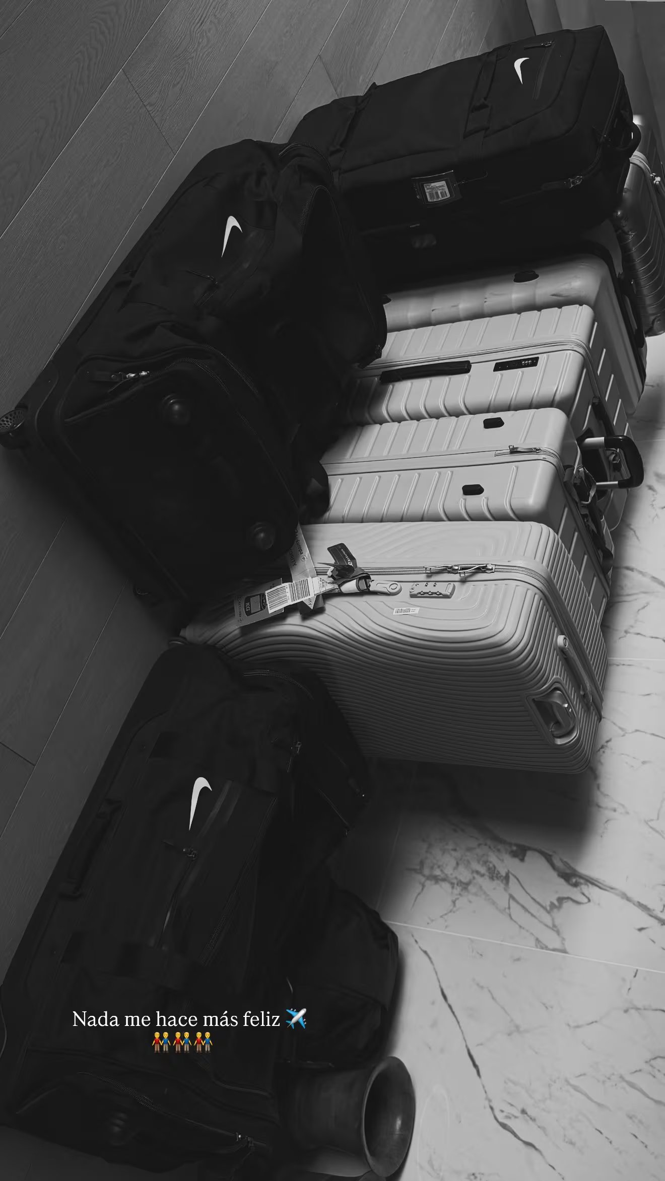 Todo el equipaje de la familia para sus vacaciones en Europa