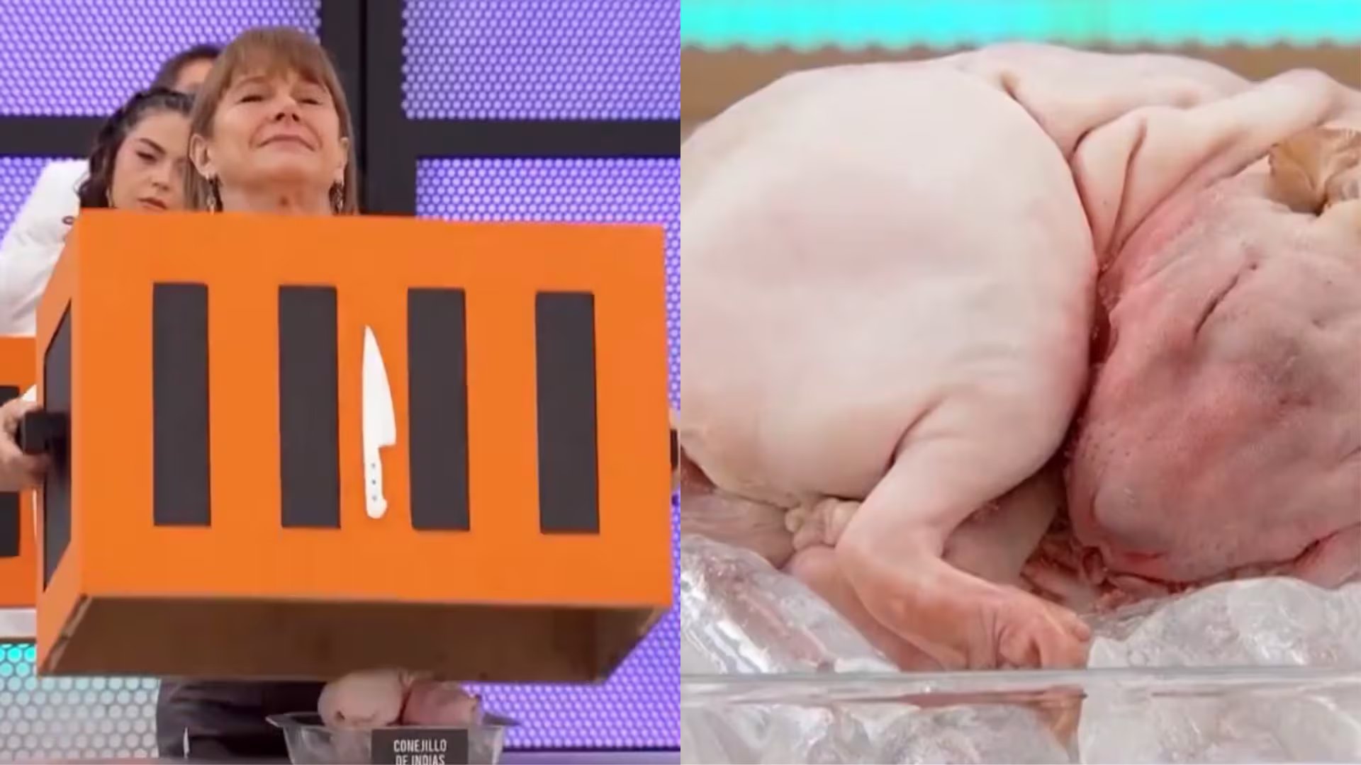 La actriz Nailea Norvind expresa pesar al descubrir un conejillo de Indias entero sobre hielo durante una prueba del programa de televisión Top Chef VIP. (Infobae Perú/Top Chef Vip)