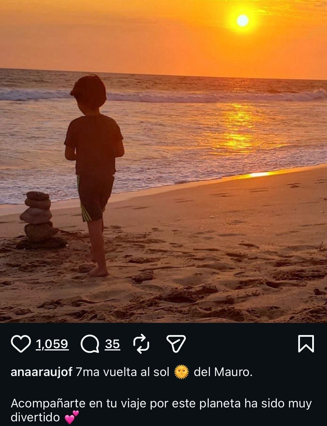 Los hijos de Pablo Lyle mantienen el vínculo a distancia con tablets, correos electrónicos, fotografías y videollamadas pese a las restricciones. Mientras que Mauro, tras ocho años del suceso, ya visitó solo a su padre. (Instagram/ @anaaraujof)