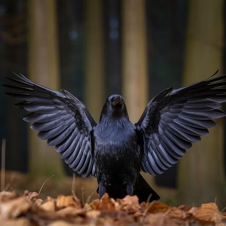 La simulación estimó que un salto de Archaeopteryx generaba 2,98 metros por segundo, mientras que tres saltos lo acercaban al umbral de 7 metros por segundo para sostener el vuelo (Magnific)