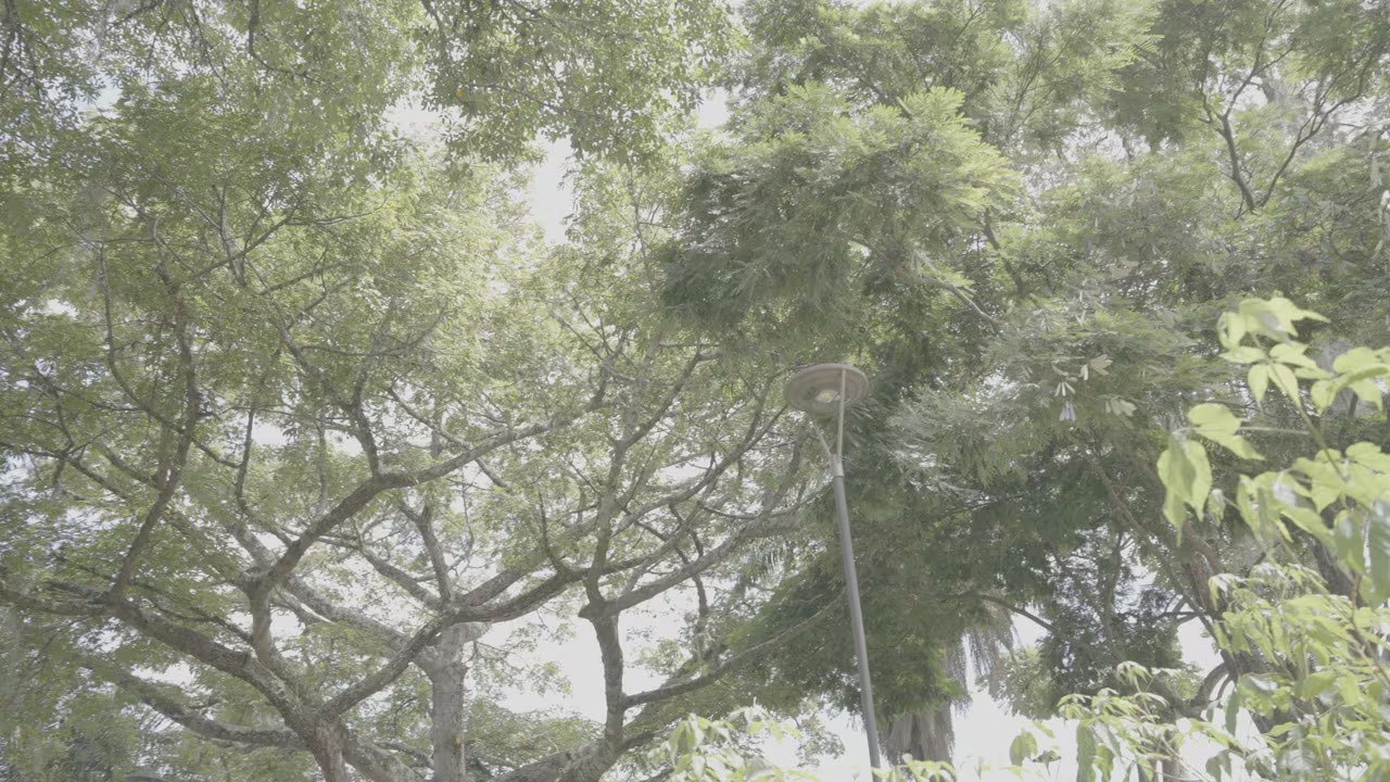 Del carro eléctrico a luz rural: el plan para reutilizar baterías y transformar comunidades. 

(Volvo) 