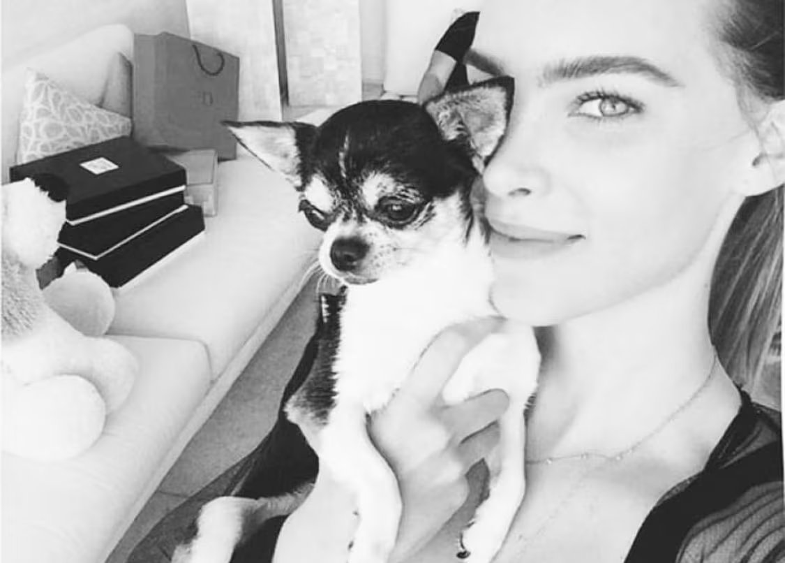 Los perros de la cantante presentaban maltrato y daños severos después de asistir a una escuela de entrenamiento y cuidados caninos
(Foto:Instagram/@belindapop)