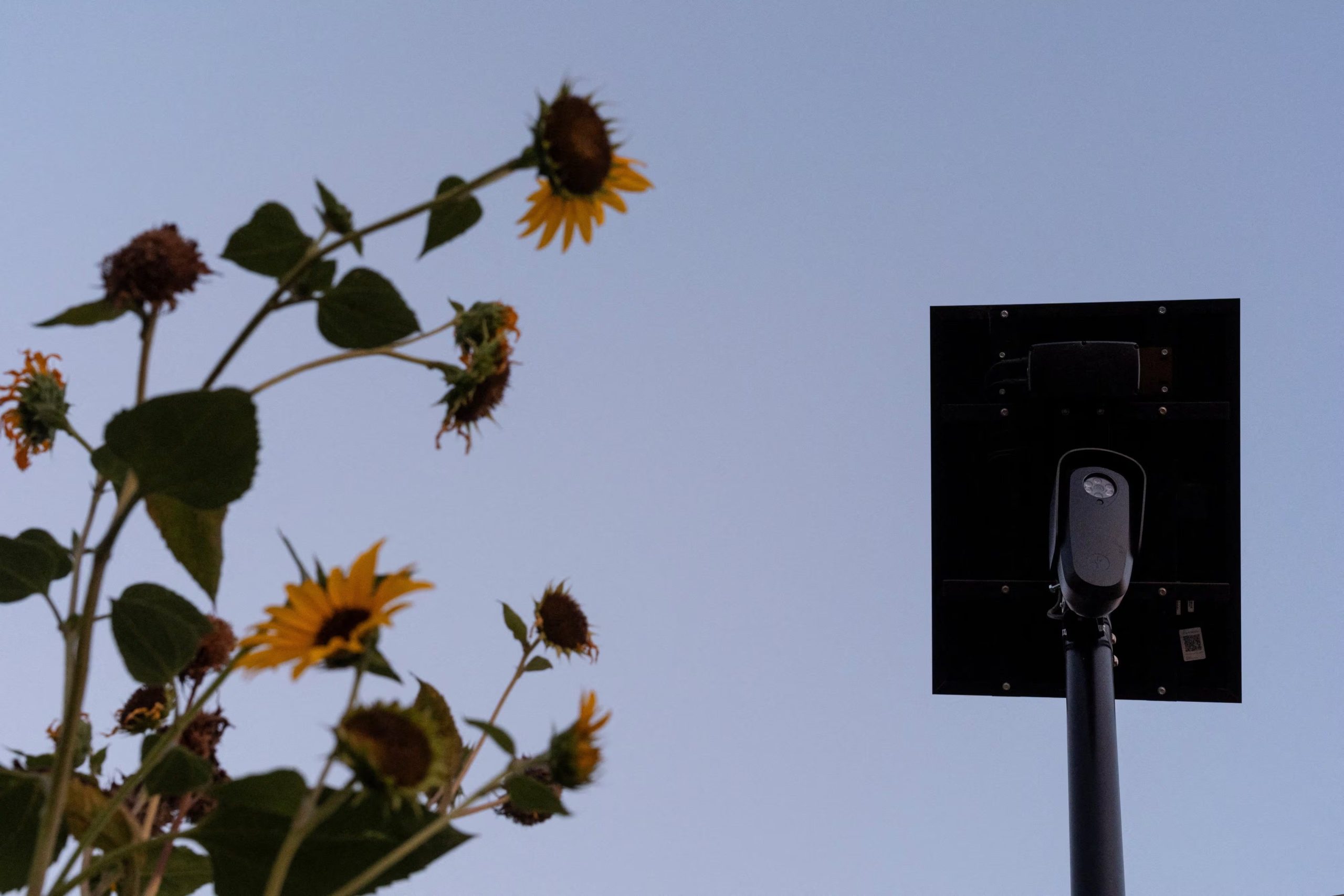 Tras las bajas de Flock, ciudades como Longmont, Denver y Syracuse contrataron a Axon, que integró su tecnología de vigilancia con inteligencia artificial (REUTERS/Cheney Orr)