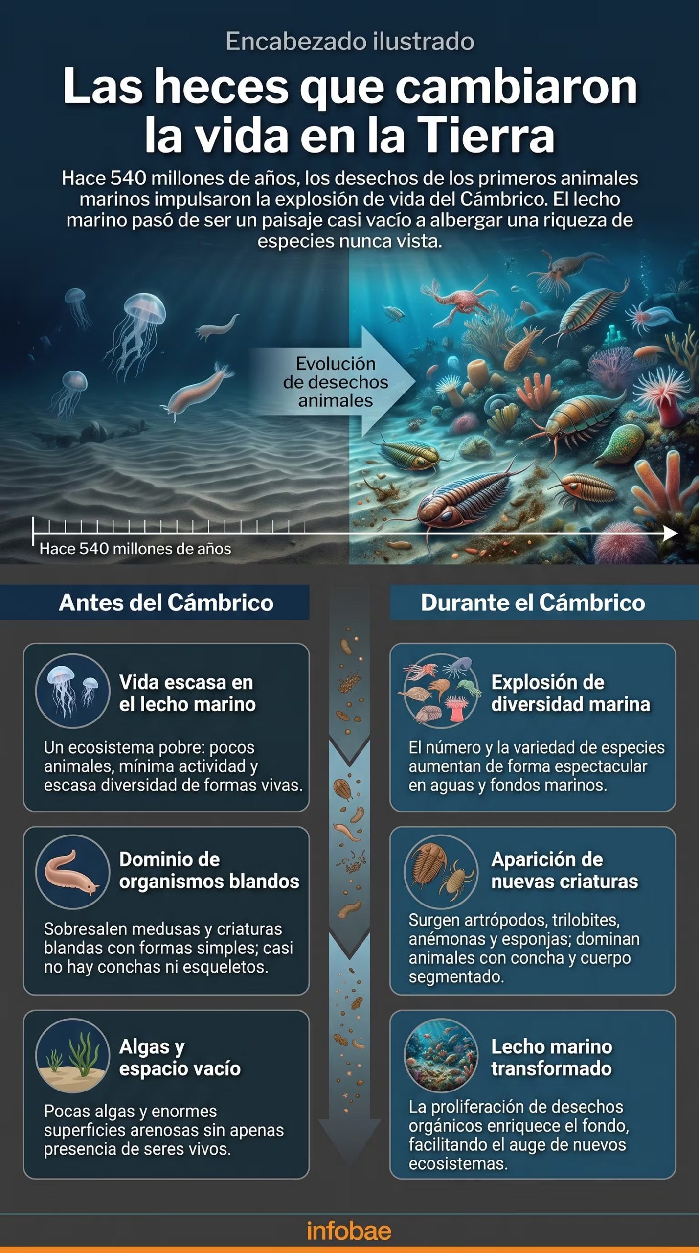 Cómo los desechos de los primeros animales marinos impulsaron la explosión de vida del Cámbrico hace 540 millones de años (Imagen Ilustrativa Infobae)