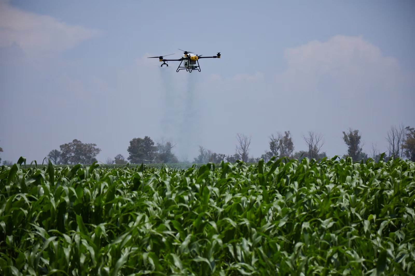 Un dron resuelve en un par de horas lo que a un tractor le toma tres días. 