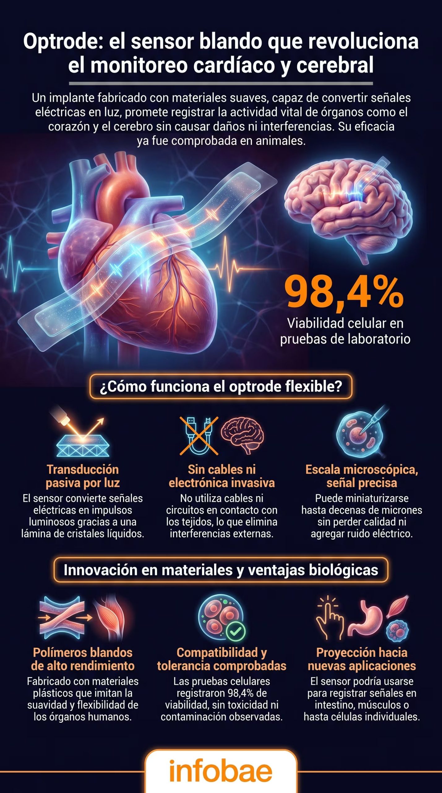 El nuevo sensor óptico busca mejorar el monitoreo de enfermedades como la epilepsia refractaria, las arritmias cardíacas y los accidentes cerebrovasculares (Imagen Ilustrativa Infobae)