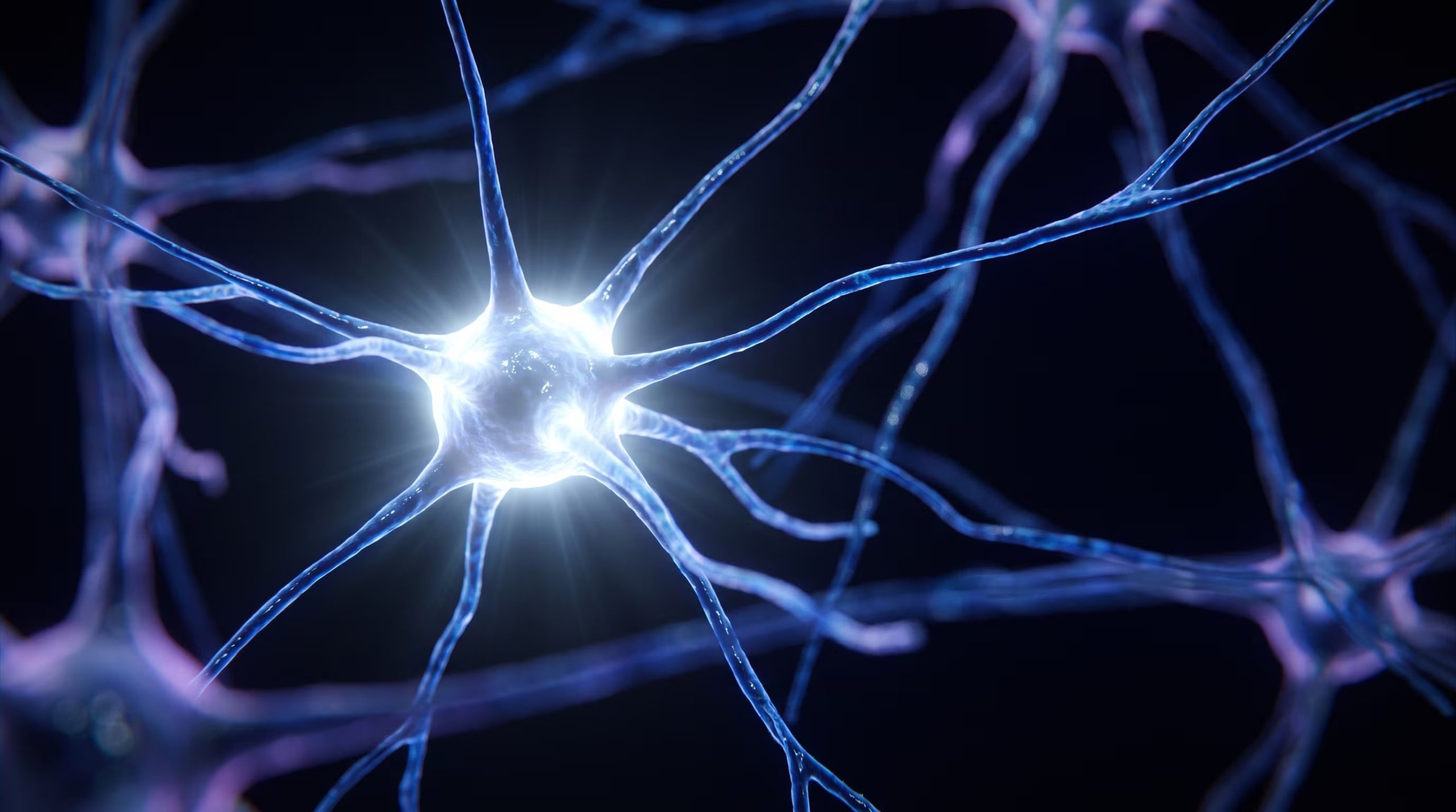 Las pruebas del optrode en animales y cultivos celulares mostraron una viabilidad celular del 98,4% y abrieron la puerta a estudios in vivo y a nuevas aplicaciones en neuronas, intestino y músculos (Imagen Ilustrativa Infobae)