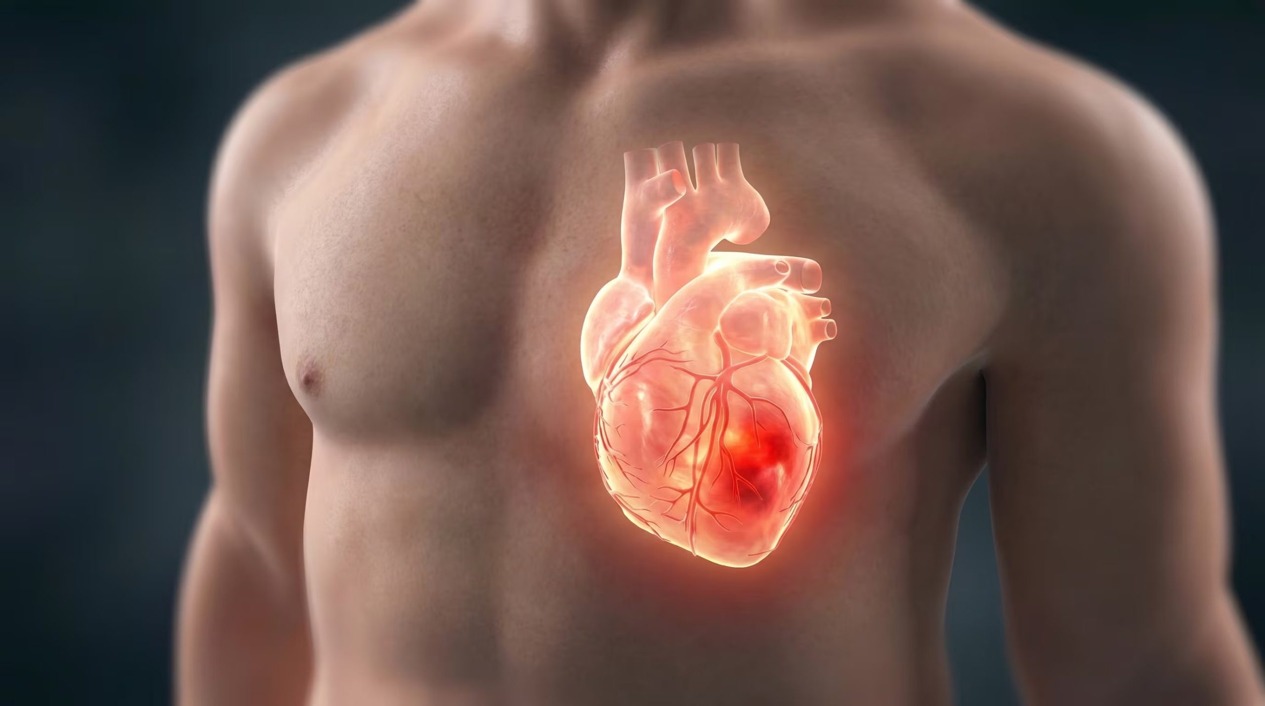 Las pruebas de laboratorio mostraron una densidad de potencia de 276,6 microvatios por centímetro cúbico, suficiente para operar el prototipo de marcapasos (Imagen Ilustrativa Infobae)