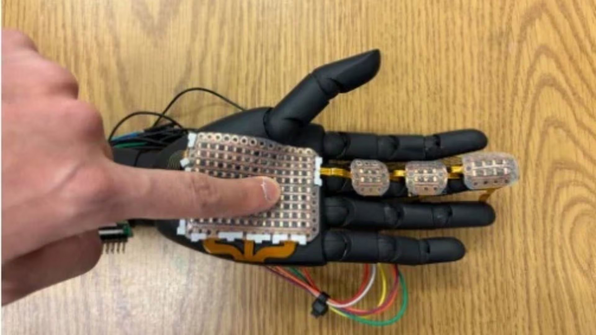 Una mano robótica equipada con un módulo sensor impreso en 3D, desarrollado por el equipo de investigación (Foto de Sravanthi Yalamanchili/WSU)