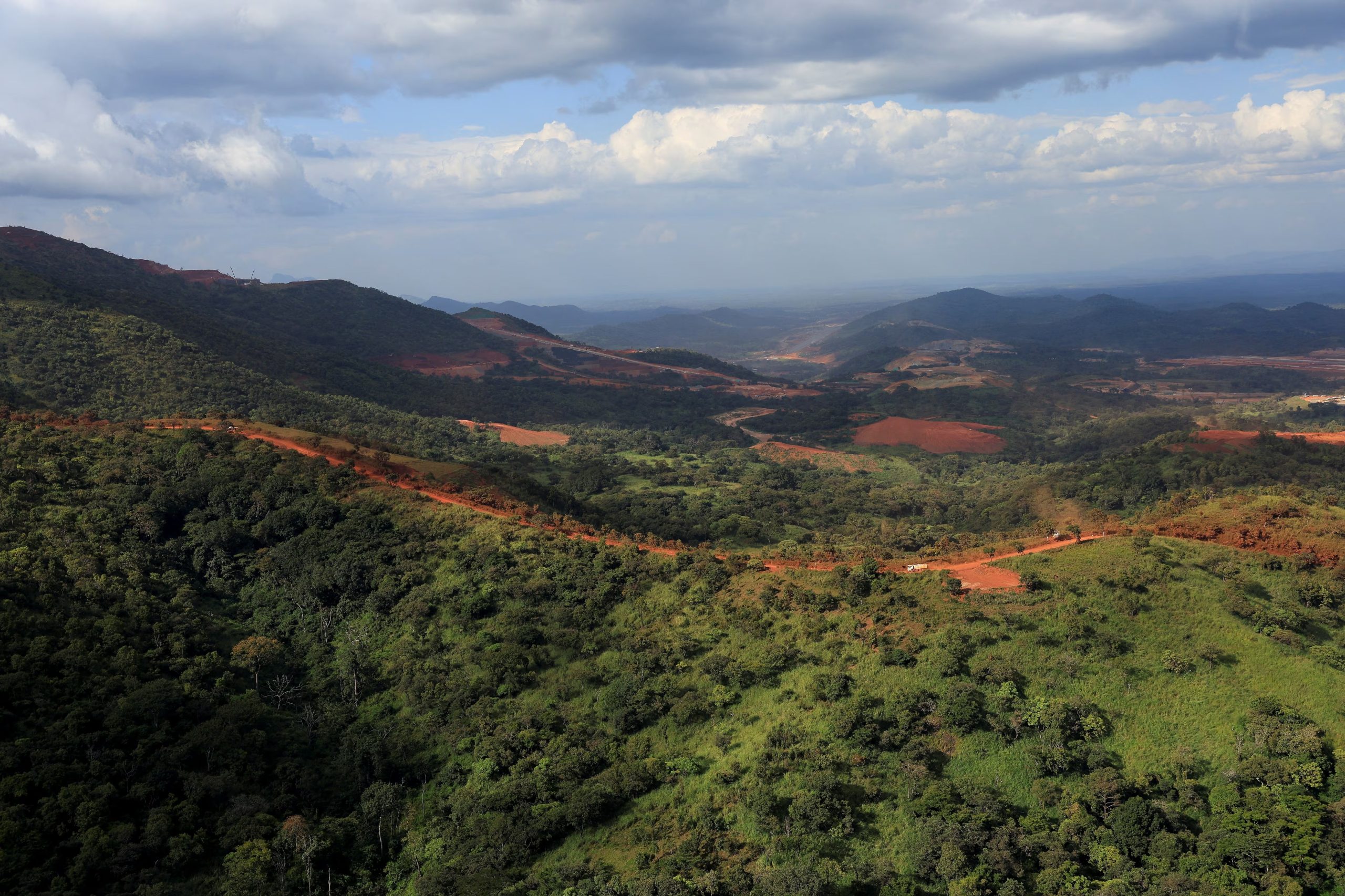 El hallazgo de Lielaphis slashi pone de relieve la riqueza biológica poco explorada de Nueva Guinea (REUTERS/Luc Gnago)