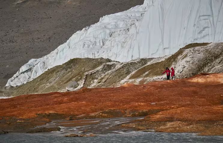 El agua salada que fluye por las Cataratas de Sangre de la Antártida contiene una comunidad distintiva de microorganismos marinos (Bryan Minnea)