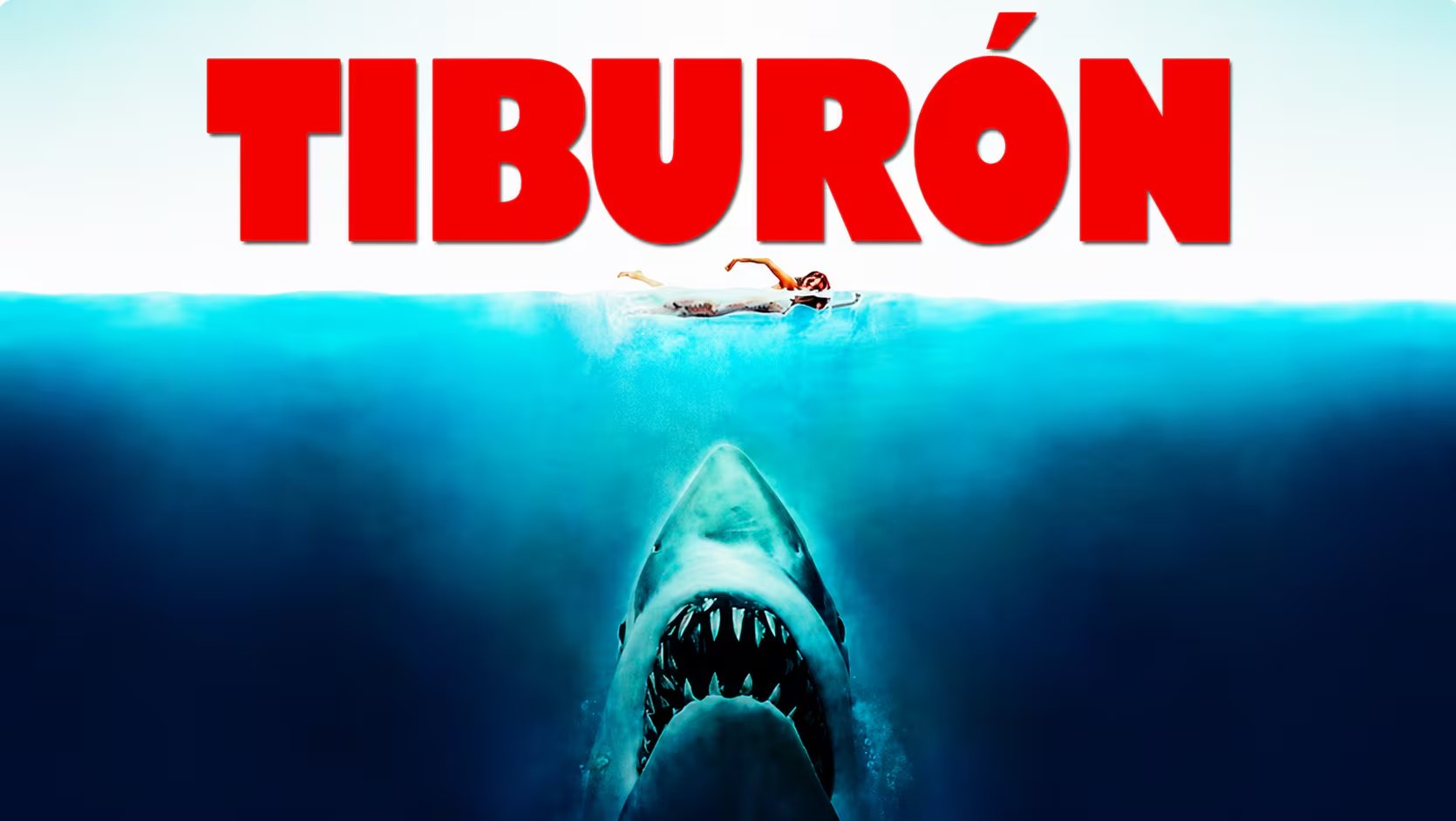 El marrajo carite tiene un hocico más alargado y una silueta más estilizada que el gran tiburón blanco Carcharodon carcharias (YouTube/@lukaccion8081)
