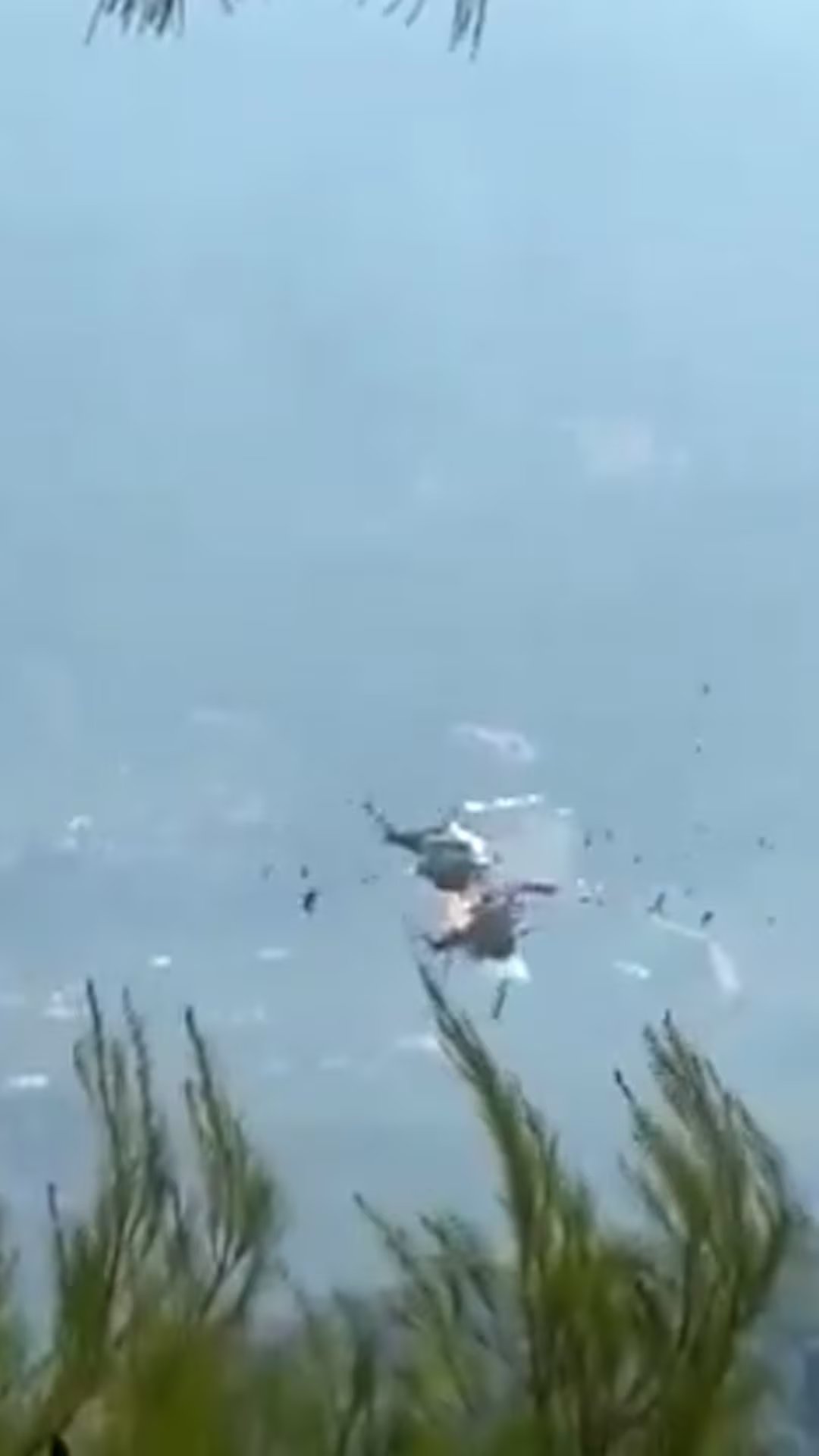 El cuerpo de bomberos griego informó que cada helicóptero transportaba a dos tripulantes durante la misión aérea.