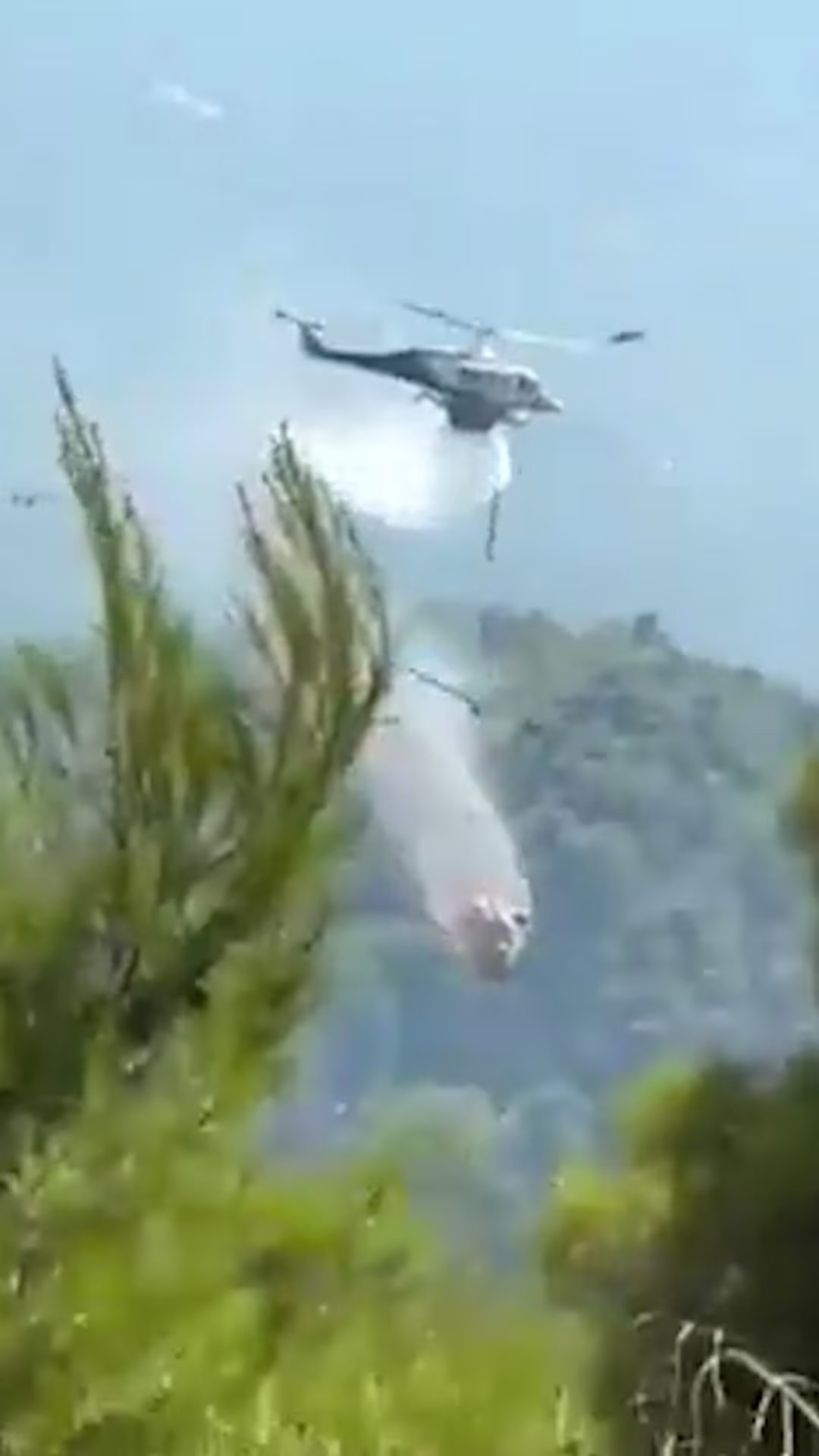 La colisión ocurrió durante una maniobra de combate aéreo contra incendios a baja altura, entre humo y fuertes vientos.