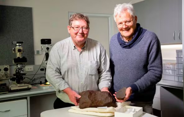 David Hole buscaba oro cuando halló una roca imposible de abrir que terminó siendo un meteorito formado en el inicio del Sistema Solar

