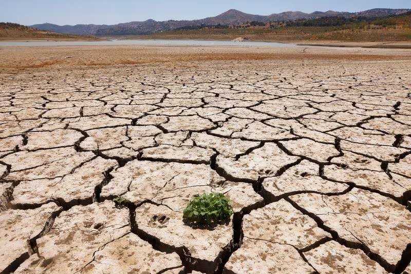  Los embalses de agua están a su 71,35 % de capacidad (Reuters) 