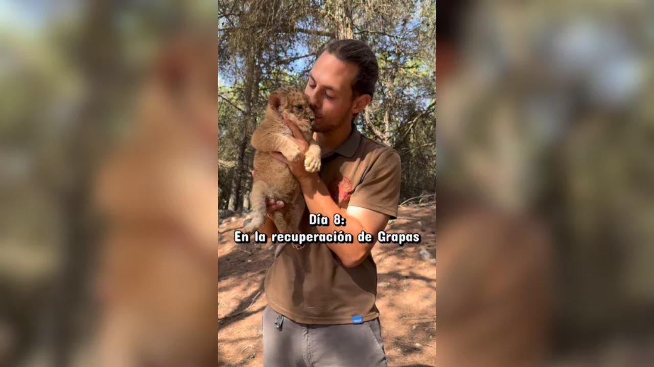 Grapas e Iván en uno de los vídeos publicados en redes sociales. (@safariaitana/Instagram)