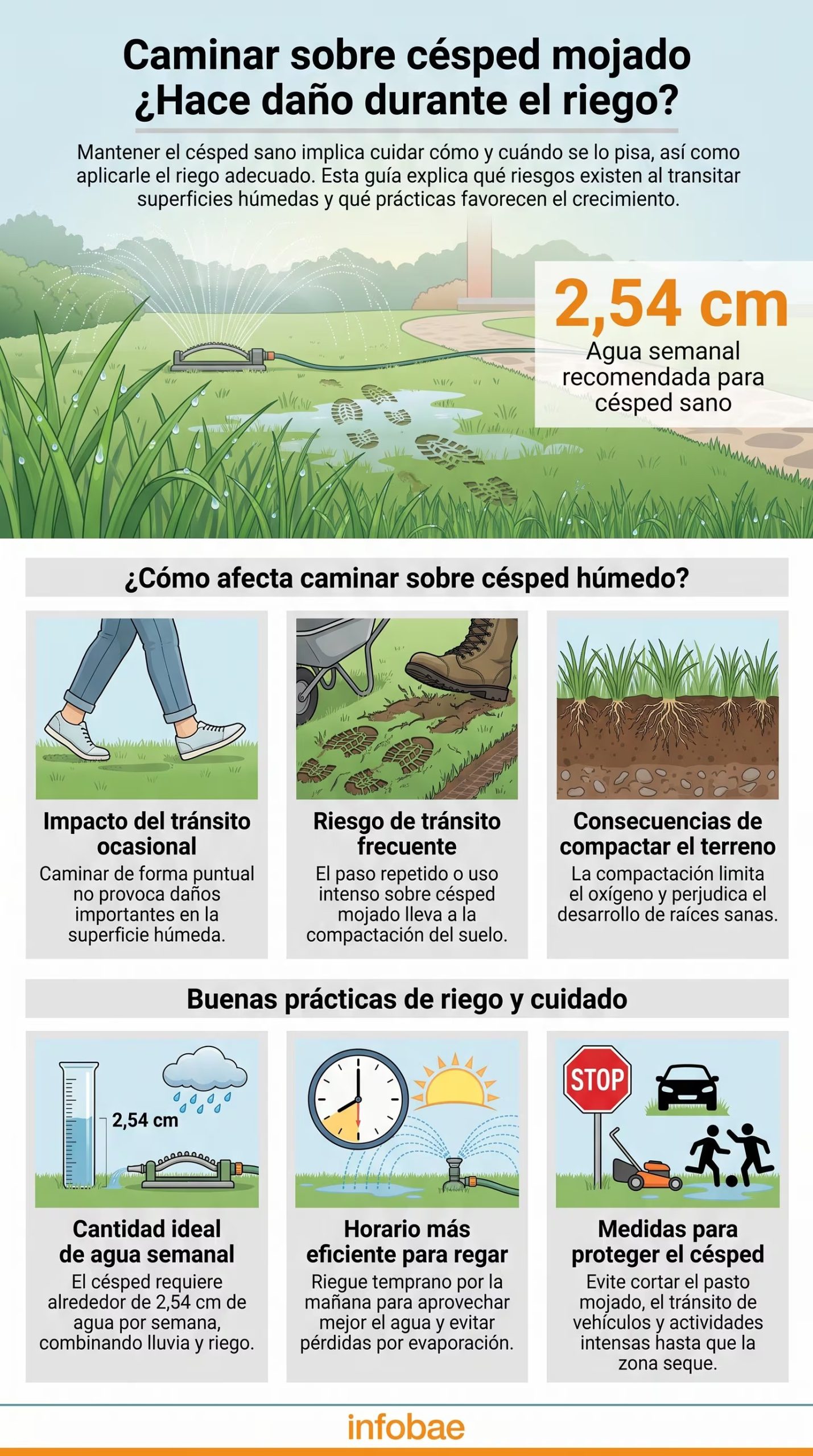 La compactación del suelo reduce la porosidad por donde circulan el aire y el agua. (Imagen Ilustrativa Infobae)