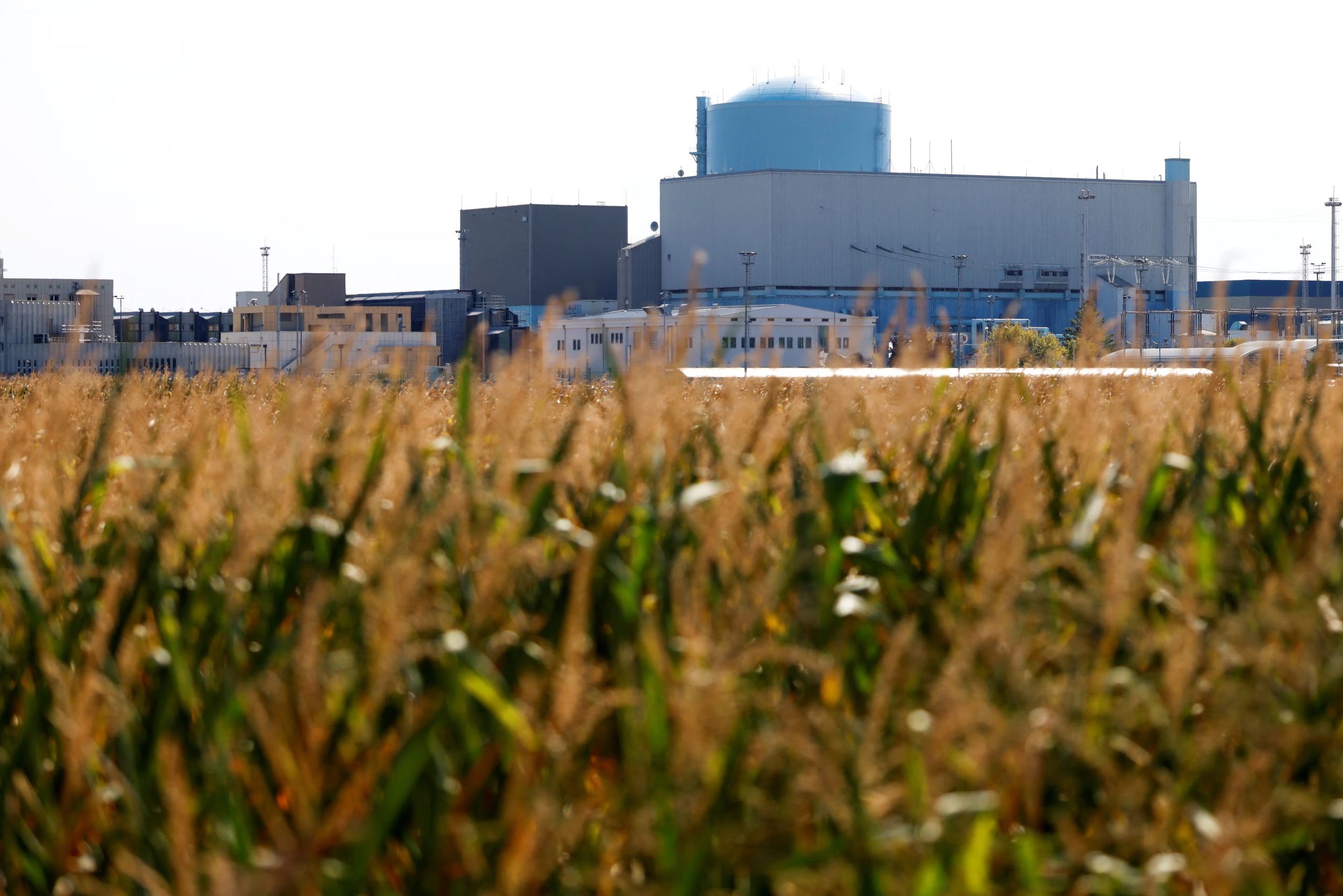 El Departamento de Seguridad Energética aseguró que el ataque cibernético no tuvo consecuencias sobre el suministro eléctrico del Reino Unido. (REUTERS/Borut Zivulovic)