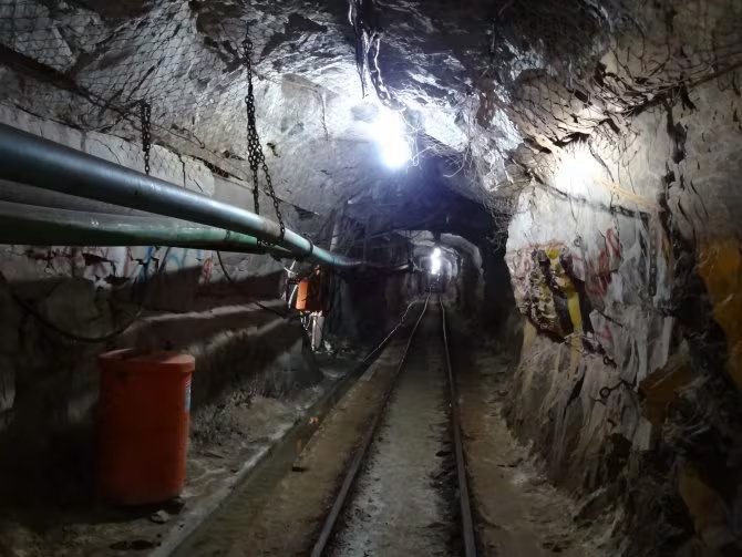 El hallazgo del gusano del diablo ocurrió en 2008, cuando Gaetan Borgonie y Tullis Onstott investigaban comunidades bacterianas subterráneas en minas de oro activas (NASA)