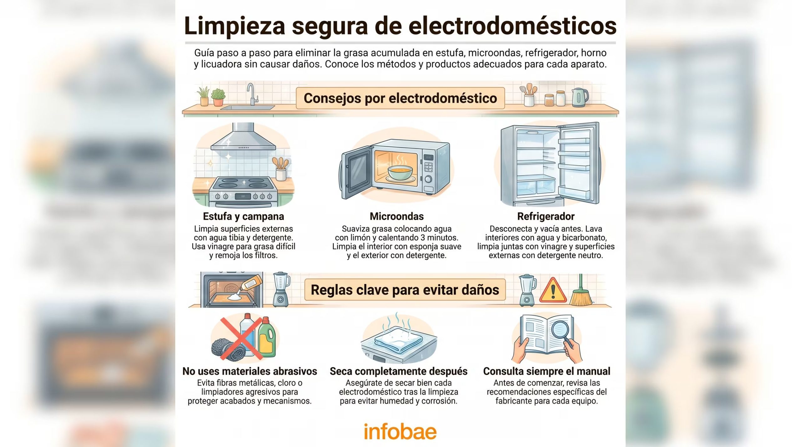 Una infografía de Infobae presenta recomendaciones para eliminar la grasa acumulada en electrodomésticos y evitar daños durante su mantenimiento. (Imagen Ilustrativa Infobae)